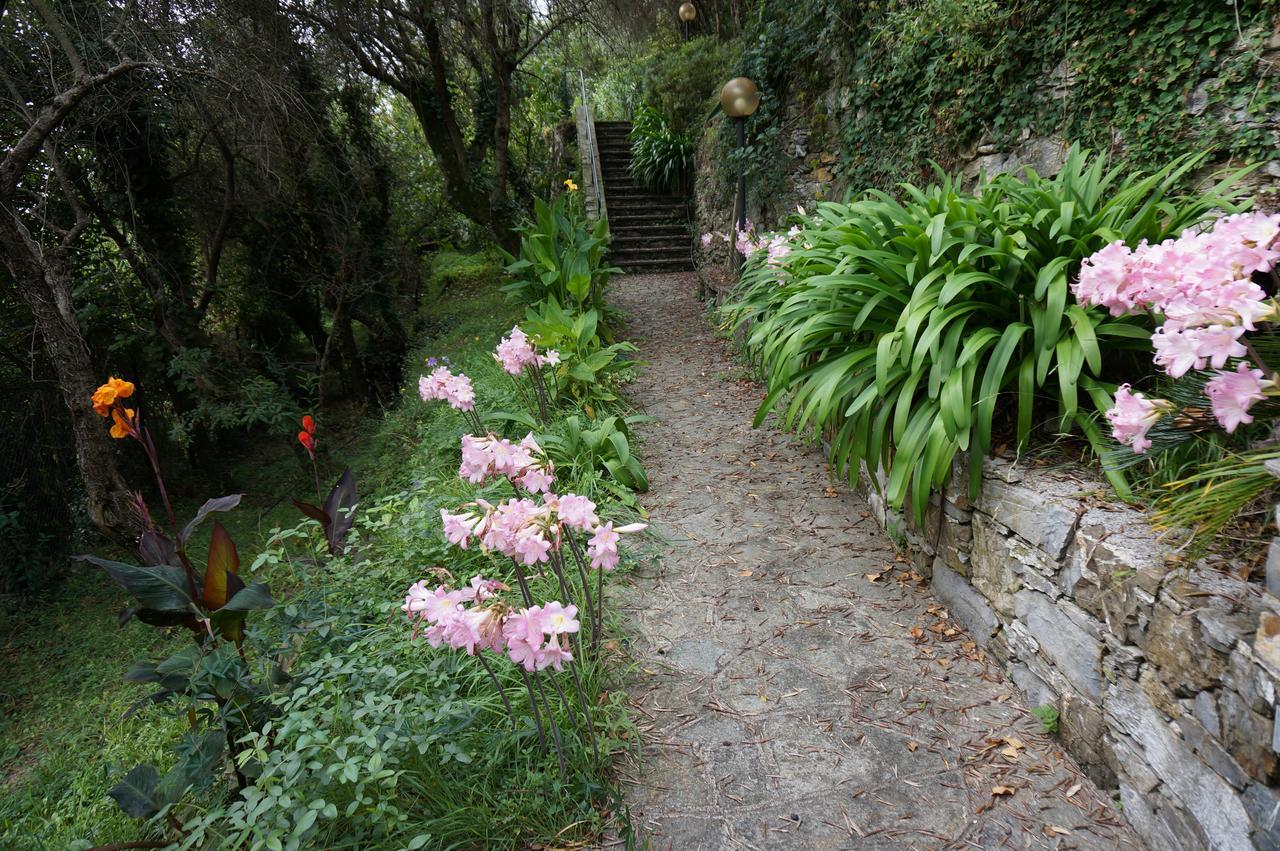 Casa Del Nespolo Villa Zoagli Buitenkant foto